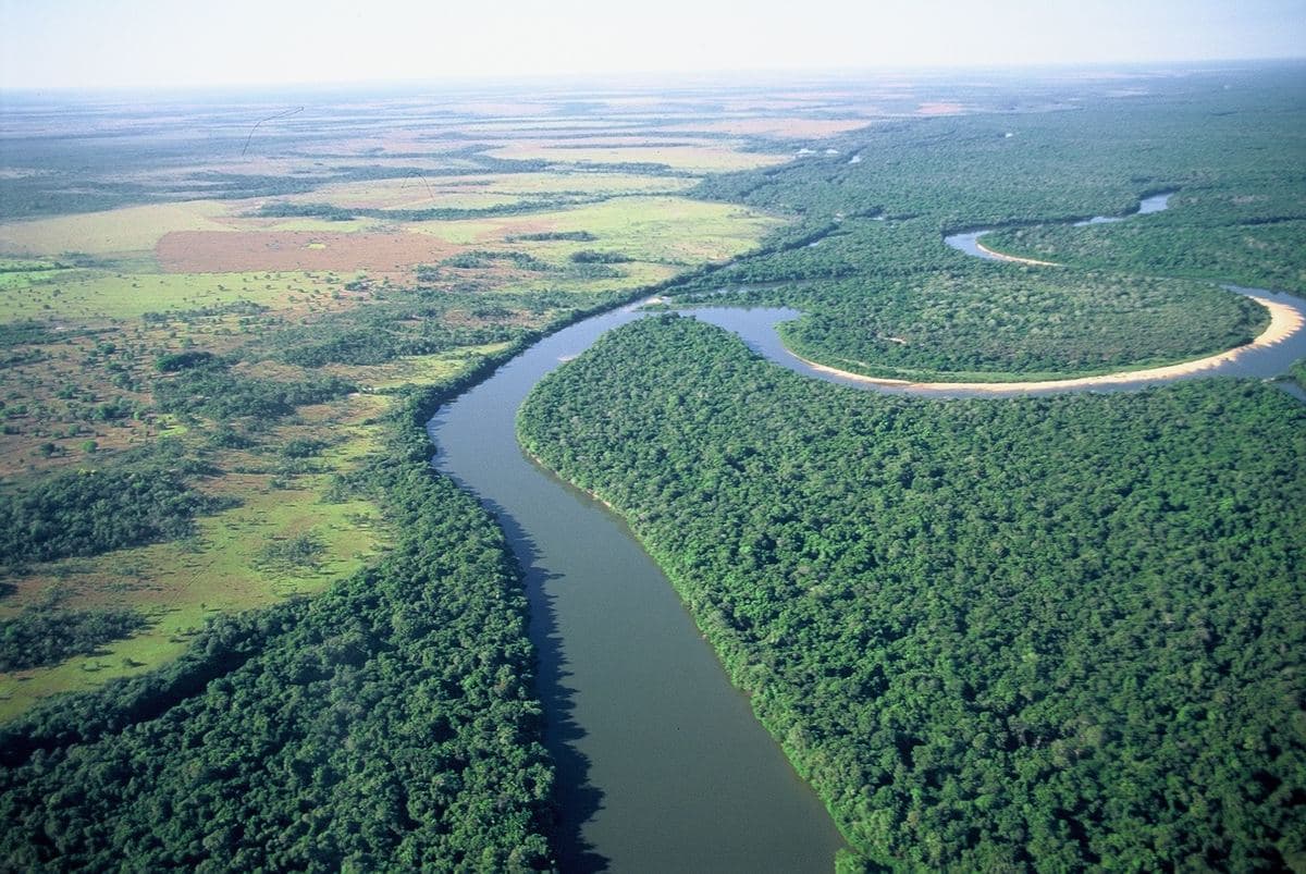 Vista aérea de área certificada no Cerrado